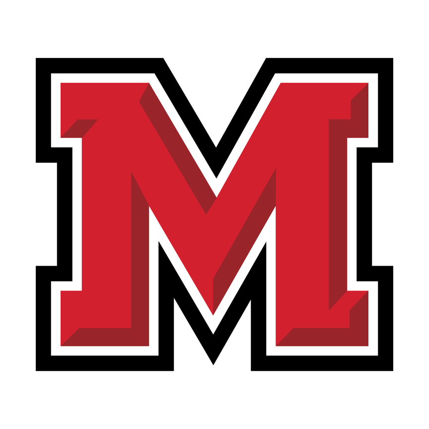 Logo Icon